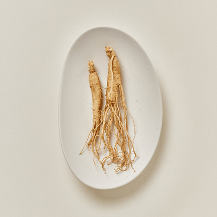 beauty of joseon ginseng moist sun serum 50ml spf50+ pa++++