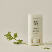 Beauty Of Joseon Matte Sun Stick Mugwort + Camelia SPF50+ 18g