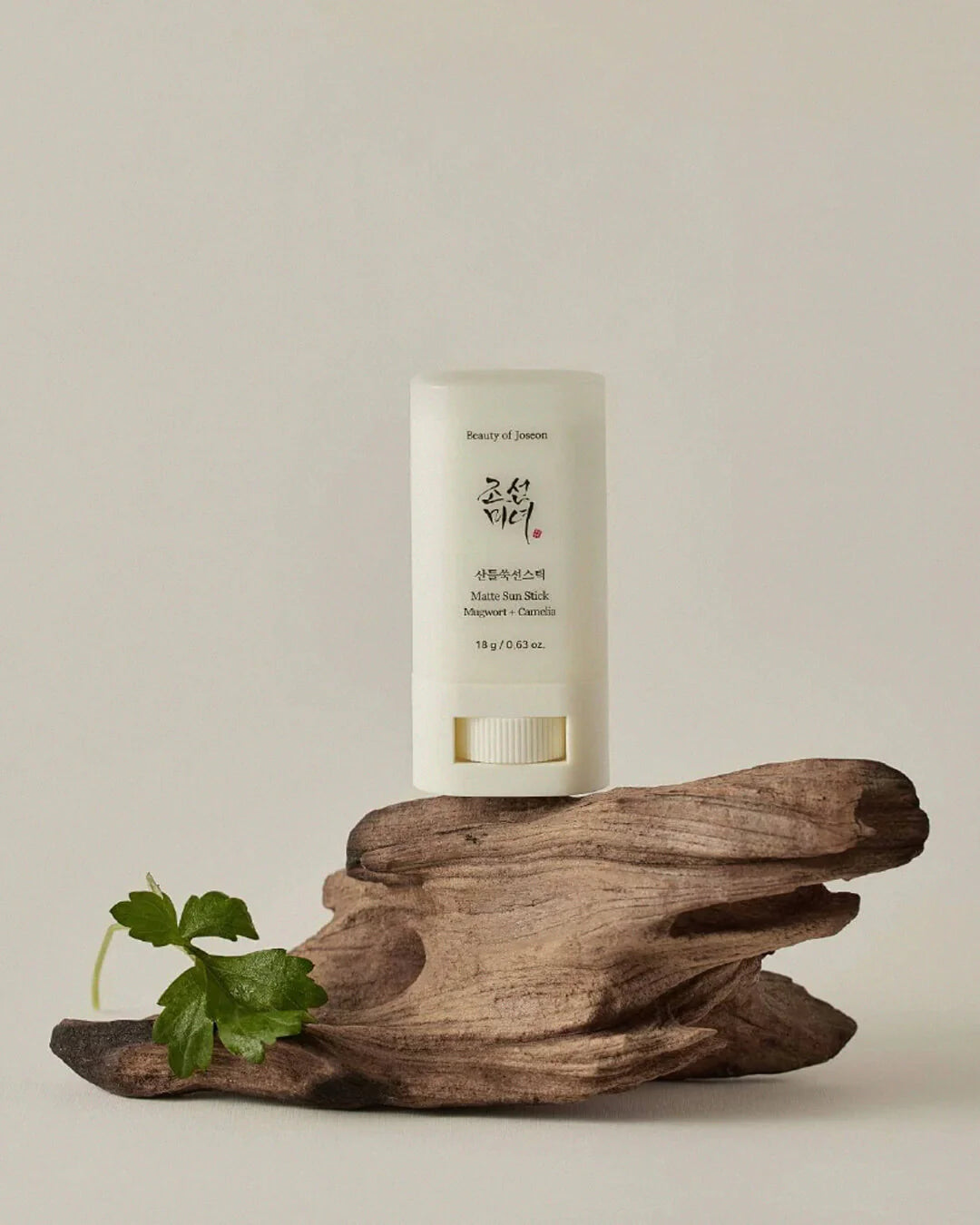 beauty of joseon matte sun stick mugwort + camelia SPF 50+ PA++++ proteção solar matificante e leve – 18g